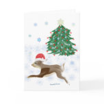 Santa Bunny Santa Bunny