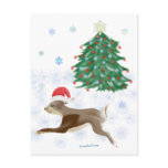 Santa Bunny Santa Bunny