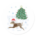 Santa Bunny Santa Bunny