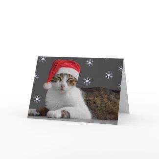Santa Cat Card card