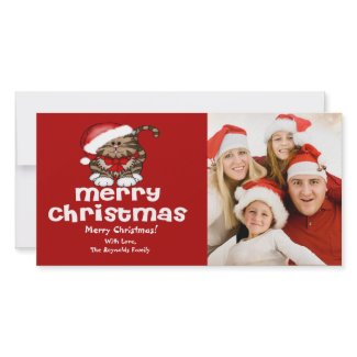 Santa Cat Christmas Photo Card photocard