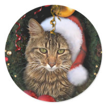 Santa Cat Gift Tag Stickers