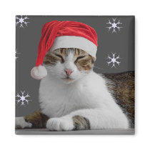 Santa Cat Magnet magnets