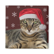 Santa Cat Magnet magnets