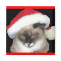 Santa Cat magnets by sumiko Santa Cat magnets