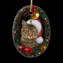 Santa Cat ornaments