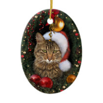 Santa Cat Christmas Tree Ornament