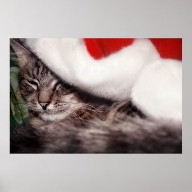 Santa Cat print