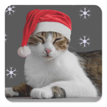 Santa Cat Stickers