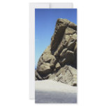 Santa Catalina Island Rack Cards