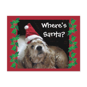 Santa Chance Dog postcard