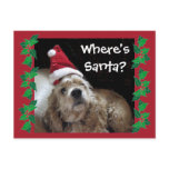 Santa Chance Dog