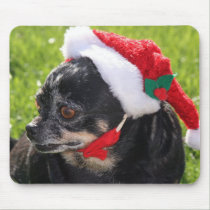 santa chihuahua mousepads