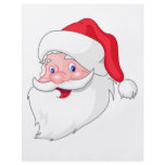 Santa Claus flyers