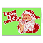 Santa Claus has a big package Greeting Cards