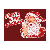 Santa Claus has a big package Post Cards