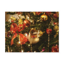 Santa Claus Postcards