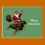Santa Claus Riding On Walrus postcards