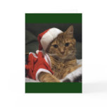 Santa Claws Greeting Card