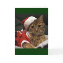 Santa Claws Greeting Card