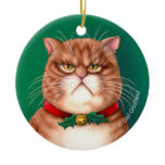 Santa Claws Cat Oornament ornaments