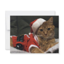 Santa Claws invitations by abrodents Santa Claws invitations
