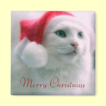 Santa Claws magnets