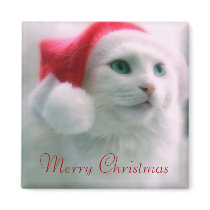 Santa Claws magnets