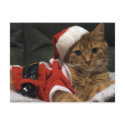 Santa Claws postcard