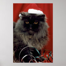 Santa Claws Print