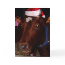 Santa Cow cards