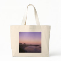 Santa Cruz bags