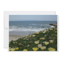 Santa Cruz beaches Personalized Announcement