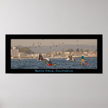 Santa Cruz, California Humpback Whales Poster