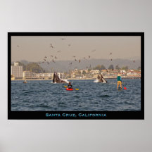Santa Cruz, California Humpback Whales Poster