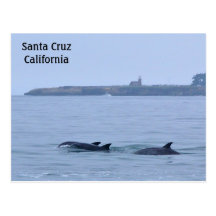 Santa Cruz California Postcard