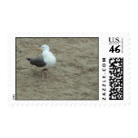 Santa Cruz postage