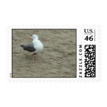 Santa Cruz postage