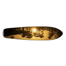 Santa Cruz Sunset Original Skatebpard Skateboard Decks