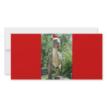 Santa Dinosaur photo cards