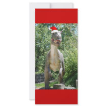 Santa Dinosaur Rack Cards