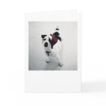 Santa Dog cards
