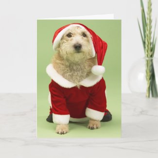 Santa Dog Christmas Card card