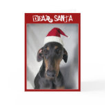 Santa Dog Christmas greeting card