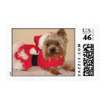 Santa Dog Postage Stamps