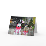Santa Dogs Santa Dogs