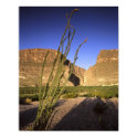 Santa Elena Canyon posters