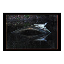 Santa Fe 482 posters