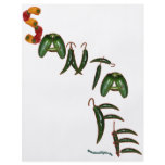 Santa Fe Chili Peppers flyers