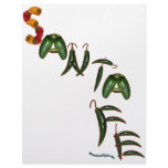 Santa Fe Chili Peppers letterhead